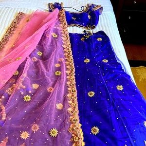 Pink and blue zardosi net lehenga with blouse